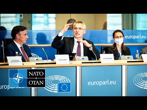 NATO Secretary General at joint committee meeting at the European Parliament, 13 JUL 2022
