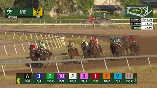 Vidéo de la course PMU PREMIO KUTRANE