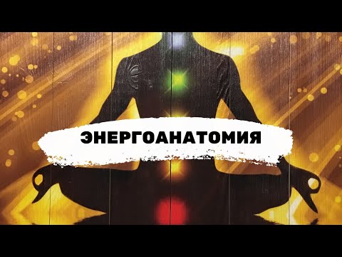 Основы энергетической анатомии человека