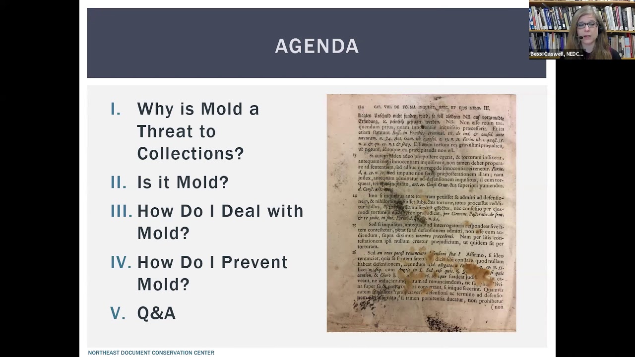 Preventing and Responding to Mold in Your Library