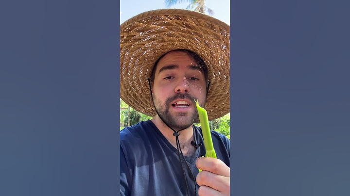 Growing Celery Is Pure Convenience