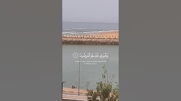 آيات بينات من الذكر الحكيم بصوت رائع ❤ #اكسبلور #القرآن_الكريم #المغرب #المصحف
