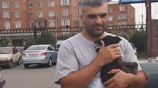 На Рынке/Щенки в добрые руки На Рынке/Щенки в добрые руки