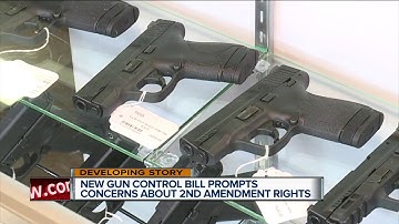 New senate bill aims at public safety and gun purchases