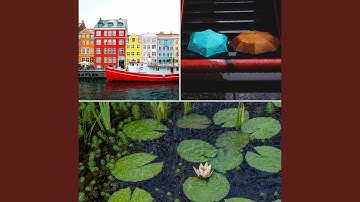 Glorious Backdrops for Cozy Days at Home