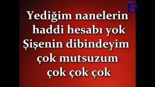 Demet Akalın - Türkan (Şarkı Sözleri-Lyrics) HD