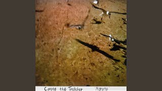 Video thumbnail of "Coyote the Trickster - 7/8"