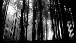 Wolfsthron | Untitled II