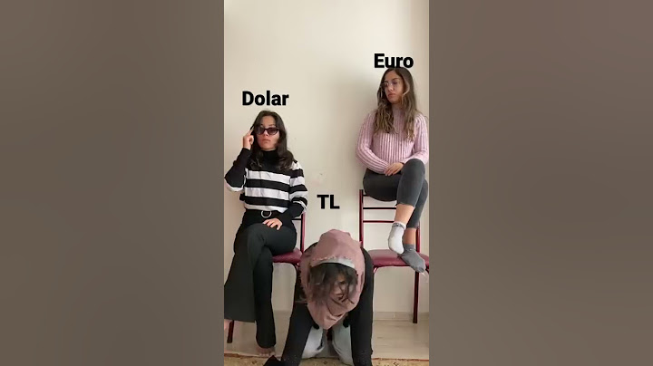 DOLAR EURO TÜRK LİRASI