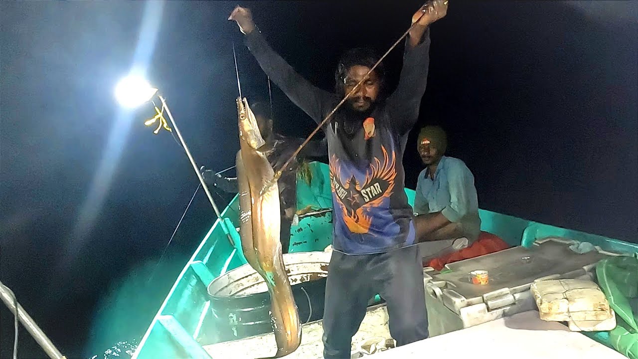 Catching Marine Cat Fish, Eel Fish & Mangrove Jack in Sea - Part I