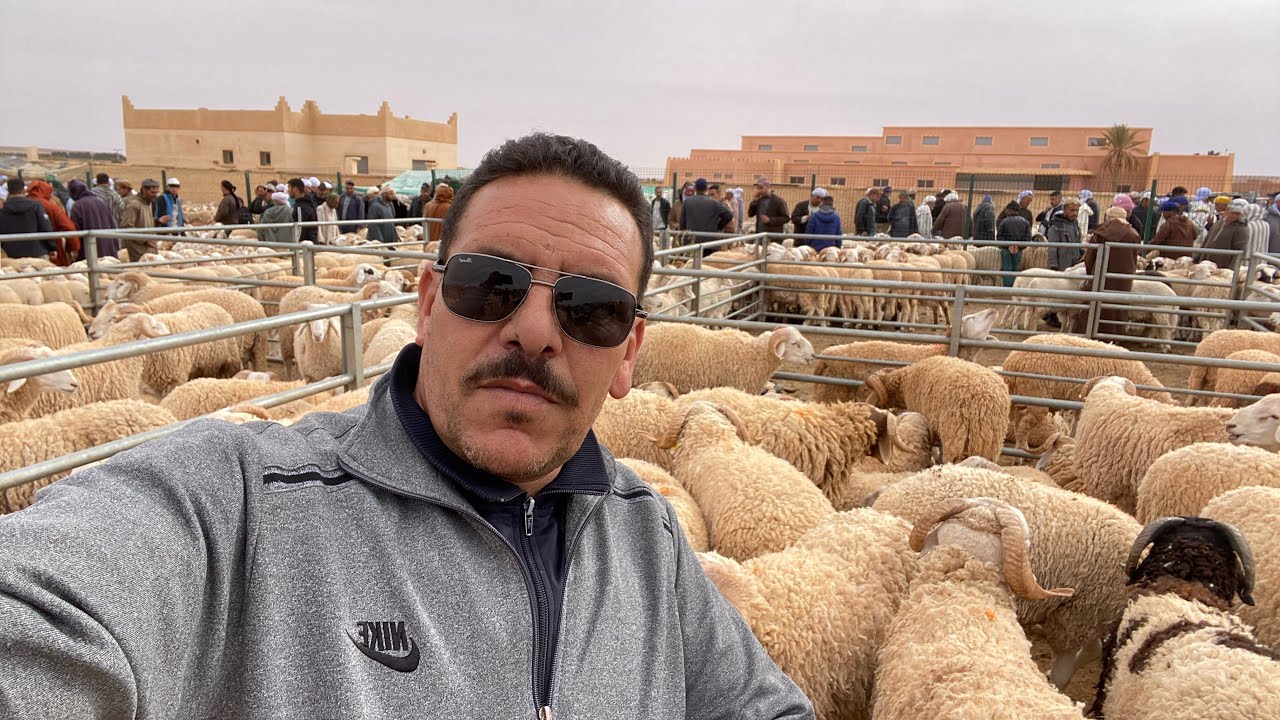 جولة في سوق بني مطهر بركم فرجة ممتعة مع الطريق إلى وجدة مع الشياخة معي في الطريق