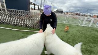 初対面なのに一目散に駆け寄るロイ　何故か彼の周りは優しい空気が流れてます