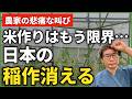 米が値下がり。日本の稲作が消える