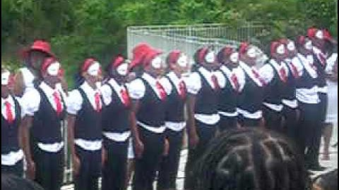 Lambda Psi Chapter of Delta Sigma Theta Spring 2008 Probate
