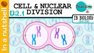 (D2.1) - Cell &amp; Nuclear Division [In A Nutshell] - IB Biology (SL/HL)