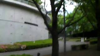 SANY0254.MP4
