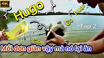 mồi câu cá rô phi nước mặn xiêu nhậy #2022 hành trình săn rô phi hugo tập 2