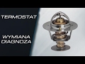 Wymiana termostatu w silnikach TDI VW / Skoda / Audi / Seat