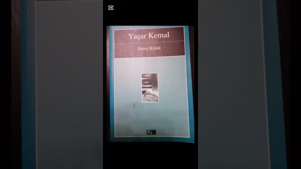 YAŞAR KEMAL- DENİZ KÜSTÜ- 20. BÖLÜM- TURGAY AKPINAR'IN SESİNDEN 