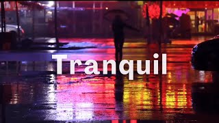 We’re Gonna Be Okay - Cody Francis (lyric video) @Tranquil2022