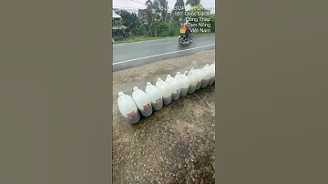 #trại_cá_giống_út_me #cá_giống #fishing #mientay #cá #fish 0909 77 0509 cá giống đủ loại