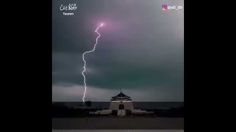 القارئ : ماهر المعيقلي  سوره :يس 🍂🍃#اكتب شي تؤجر عليه