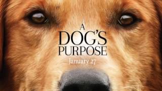 Video thumbnail of "A dog's Purpose - Main Theme ( soundtrack fan made )"