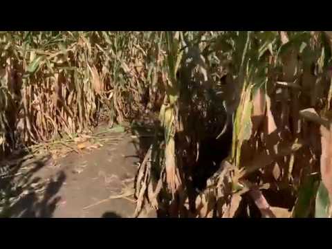 IPhone XS Max OIS Video Demo