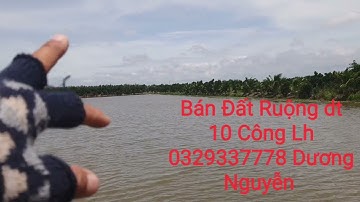 Nhà Đất Bán Đất Ruộng Dt10 Công Giá 130tr Công Thạnh Hóa LA
