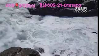 로즈향🌹(음악감상실)8시 #음악방송 #소통 25.6.25.(저녁방송)
