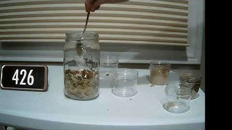 Modeling the formation of sedimentary rocks