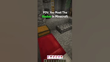 POV: You Meet The Hacker In Minecraft...