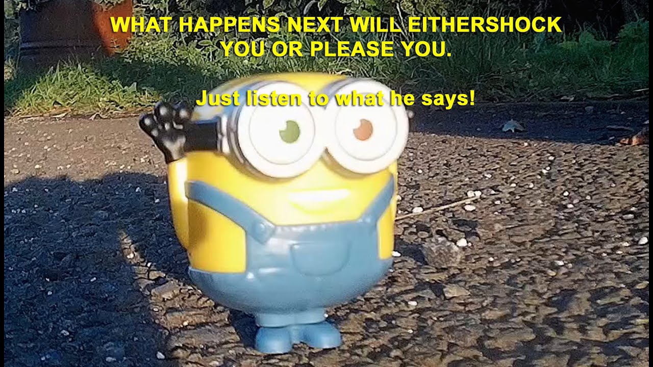 I Hate Minions YouTube