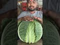 Weaving a GIANT Cabbage from Leaves 😳🥬 | Satisfying 8s Craft #shorts
