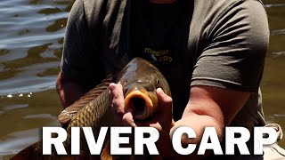 Vaalrivier Carp - Von du Rust