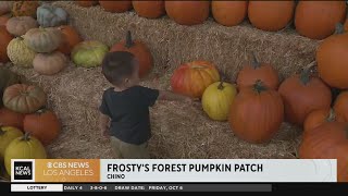 Fun for all at Chino's Frosty’s Forest Pumpkin Patch
