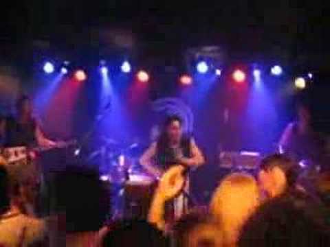 Concert iboga highlight tribe 11
