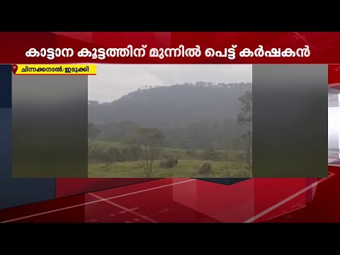 ചിന്നക്കനാലിൽ കാട്ടാന കൂട്ടത്തിന് മുന്നില്‍ പെട്ട് കര്‍ഷകന്‍ | Mathrubhumi News