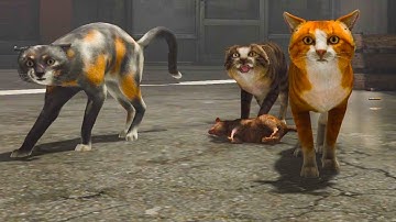 Adopting A New Cat CopyCat Full Game