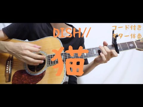 【ギターコード付き】DISH//　猫【アコギ弾いてみた】