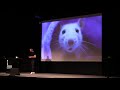 Deep Learning for Self-Driving Cars by Erik Rosén