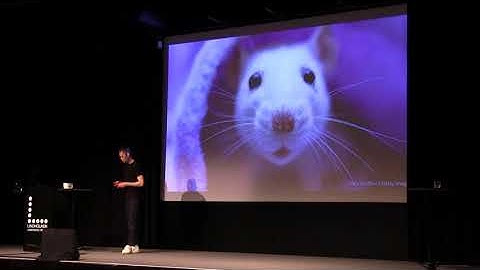 Deep Learning for Self-Driving Cars by Erik Rosén