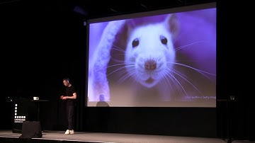 Deep Learning for Self-Driving Cars by Erik Rosén