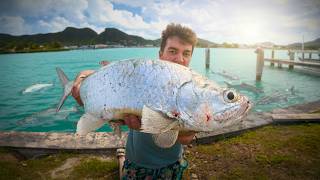 I Caught LEGENDARY Fish on the Tropical Island of Antigua