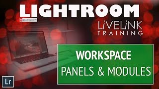 The Workspace: Panels and Modules