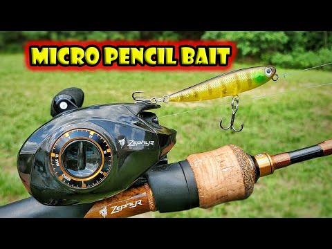 BFS Fishing with a Mini Pencil Bait! Tsurinoya DW64