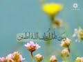 نشيد رددي يا جبال للمنشد عبد الله المهداوي رحمه الله نشيد رددي يا جبال للمنشد عبد الله المهداوي رحمه الله