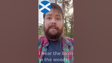 Talking about Birds in Scottish Gaelic 🏴󠁧󠁢󠁳󠁣󠁴󠁿 #Gàidhlig #Scottishgaelic #Alba