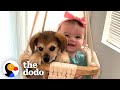 This Puppy And Baby Sister Are Perfectly In Sync With Everything They Do | The Dodo Soulmates