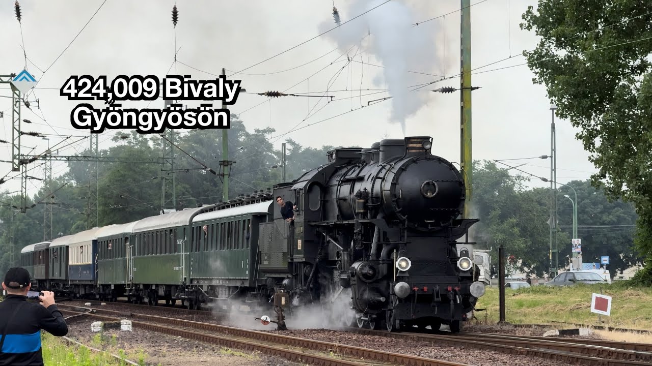 A 424,009 Bivaly Gyöngyösön